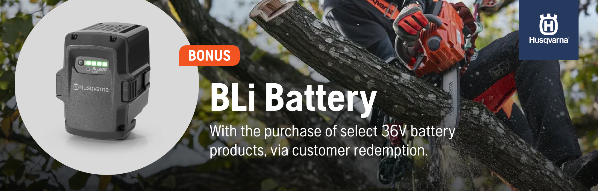 BLI Battery